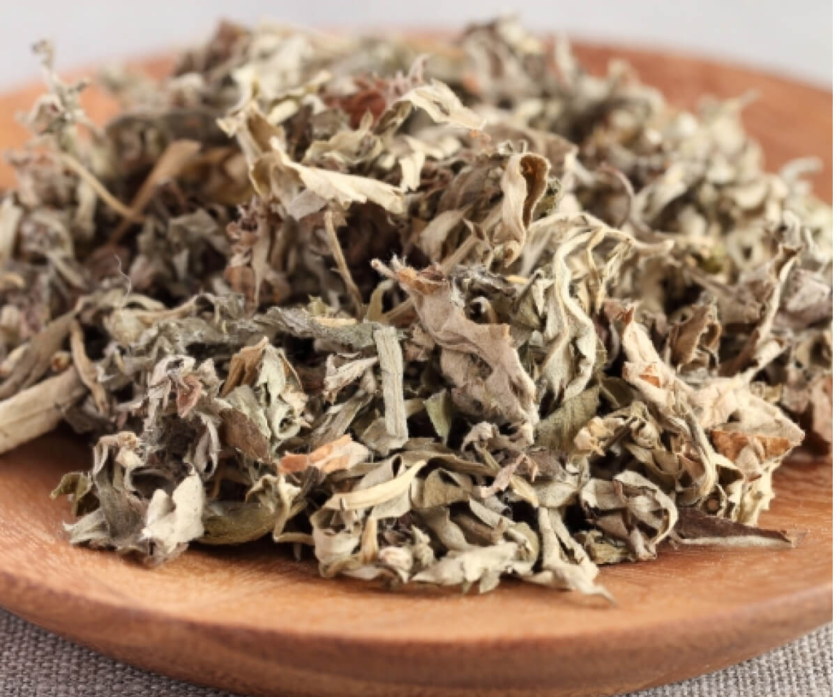 よもぎ蒸しとは